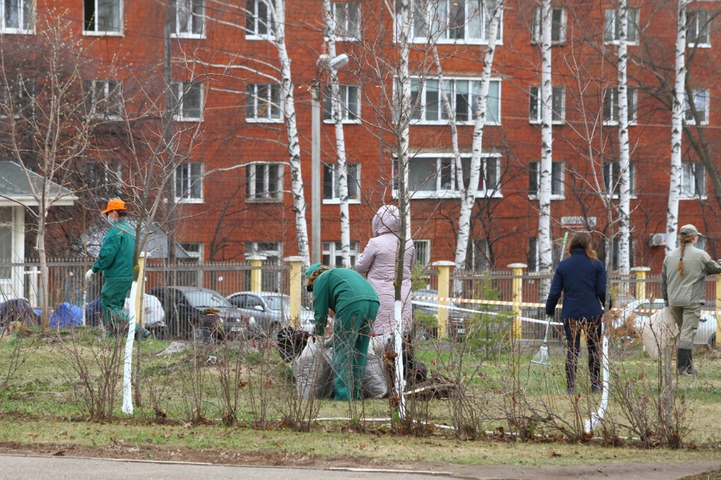 ������� ��������CAMC7484.jpg